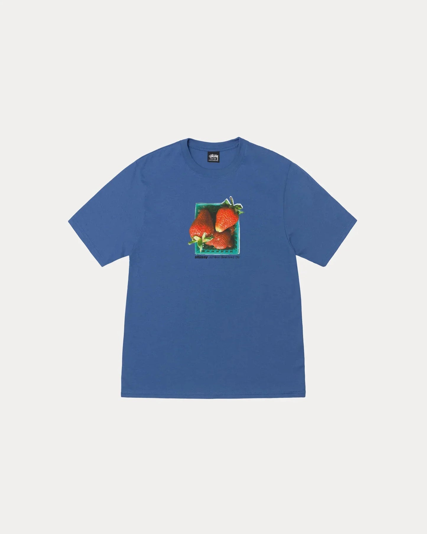 STUSSY BERRIES TEE
