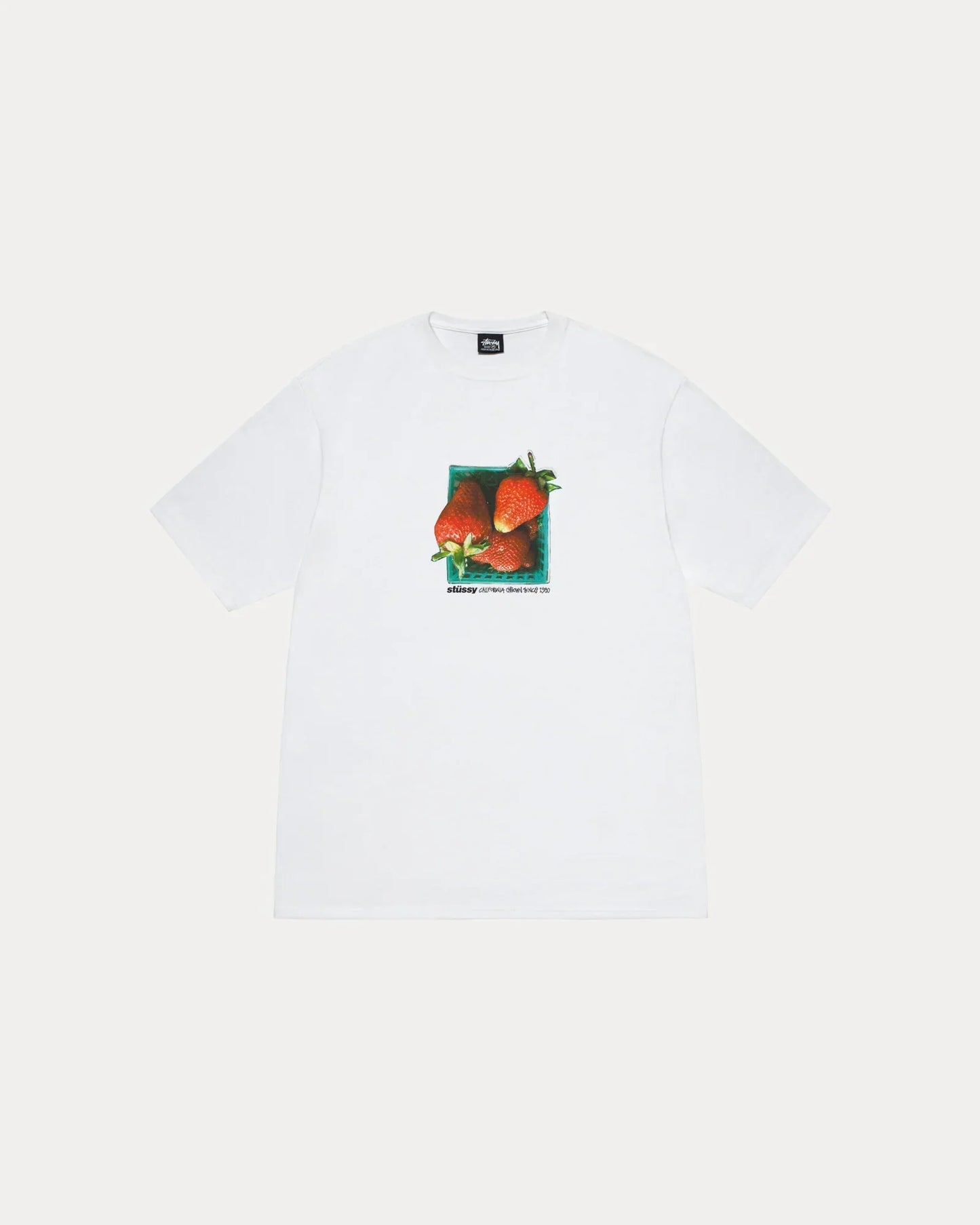 STUSSY BERRIES TEE